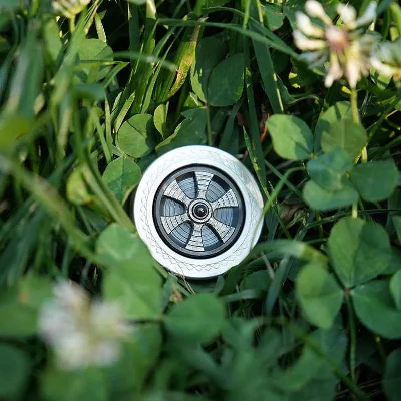 Worry Stone Pop Coin