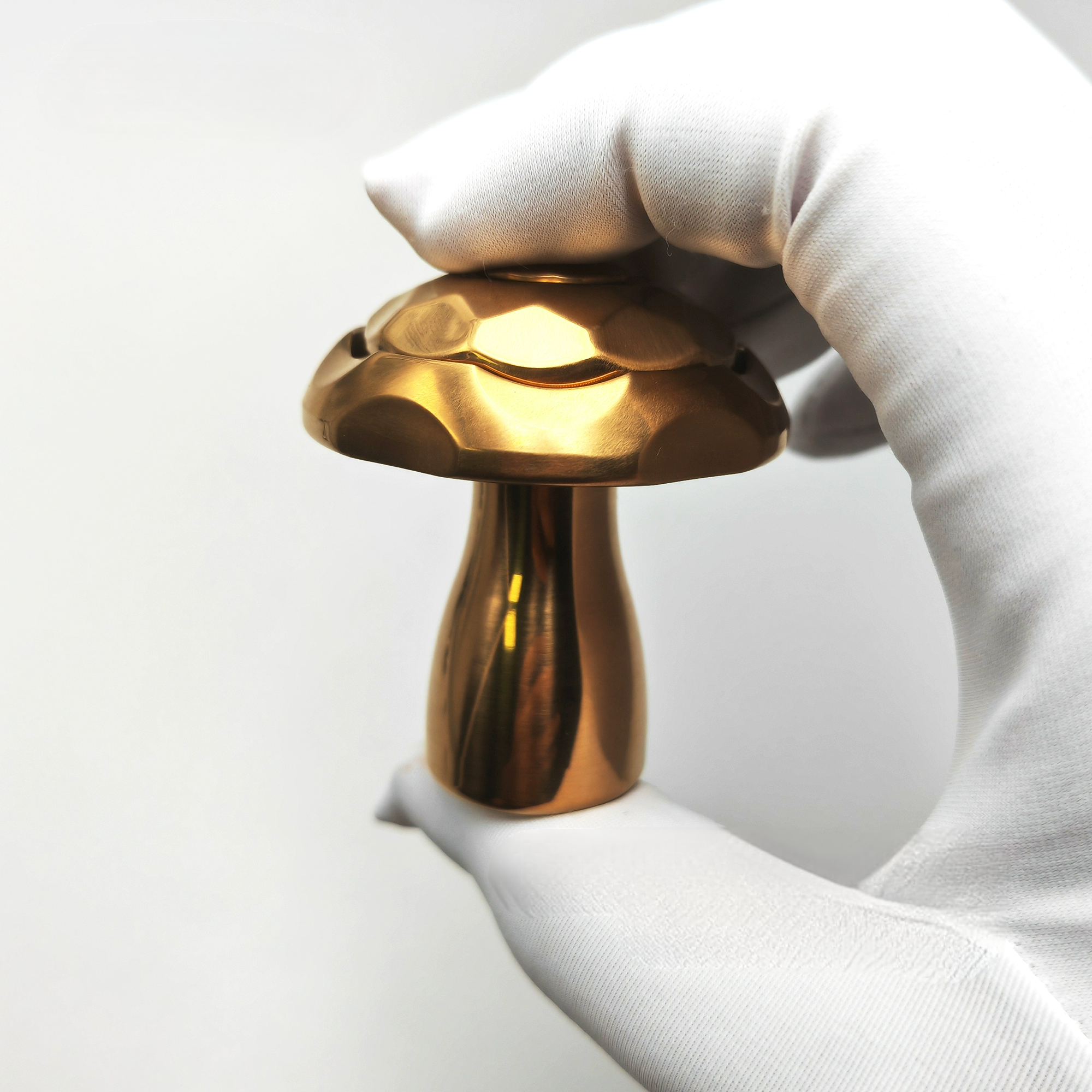 Toxic Mushroom