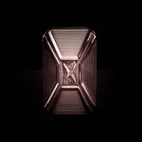 X Project